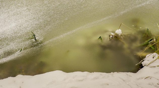 The snowy shore of a frozen river.