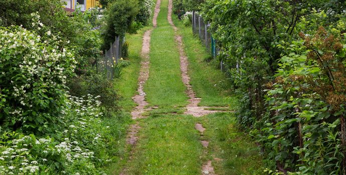 Small village street covered with green grass in summer. Abandoned dirt road in sparsely populated village.