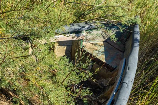 An old wooden boat abandoned in the thickets on the river bank close up