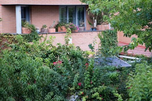 Green home building with plants growing on the facade and solar panels. Ecology and green living in city, sustainability concept.