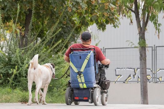 Old man in wheelchair with his dog outdoors. read view