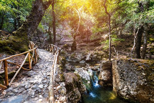 Wooden natural walking trekking path Butterflies Butterfly Valley Rhodes Greece. Butterfly valley reservation in Rhodes Island, Greece, walking paths in the nature. Rhodos, Greece.