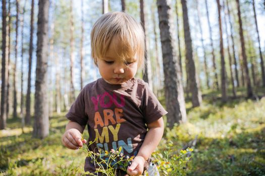 Blond Baby girl collecting berries in the forest . High quality photo