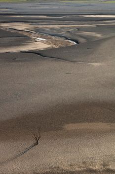 Empty and desertic Mediano reservoir with a lonely tree in Huesca province in Spain