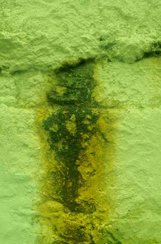 Old green wall with moldy drips.