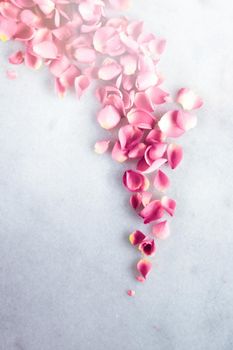 Delicate rose petals on marble stone - art of flowers, luxury background and floral beauty concept. A touch of romance