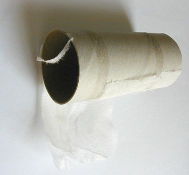 cardboard end of a toilet paper roll