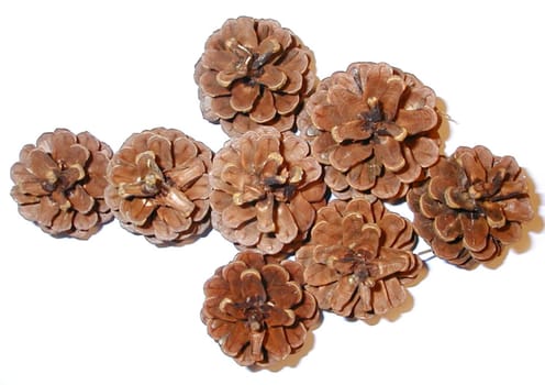 Arrow formed of dried pine cones pointing to the left , overhead view isolated on white