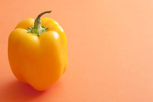 Fresh whole healthy yellow sweet bell pepper or capsicum on an orange background with copy space