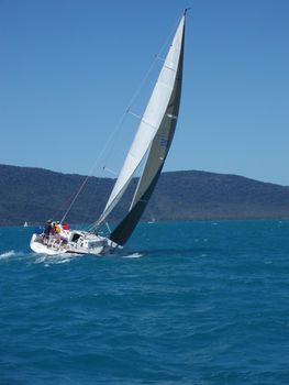 on a sail: a sunny day out of the ocean