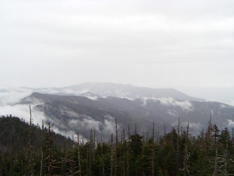 a generic wilderness alpine mountain view