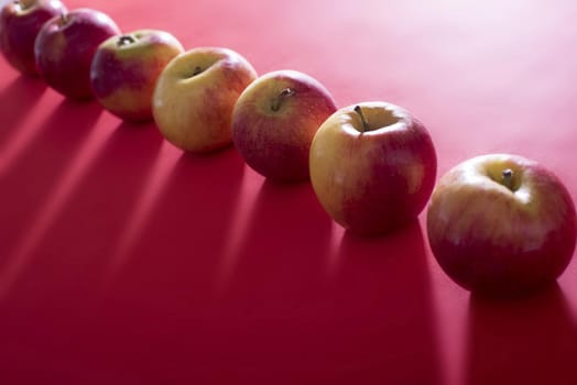 Diagonal line of fresh whole apples backlit on a festive red background casting a shadow over copy space