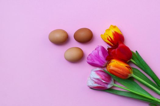 Bouquet of tulips and three brown chicken eggs on pink background. Happy Easter card . . eggs and five tulips on a paper background.