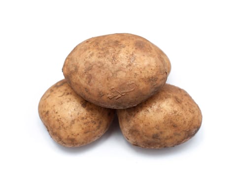 Three farm fresh unwashed potatoes, an important agricultural crop and ingredient in cooking