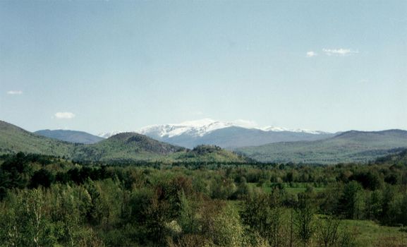 wilderness view with a forebround of trees and snow capped mountains in the background