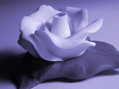 Close up Beautiful Rose Flower on Leaves Icing for Cake Decoration in Monochrome Color Style.