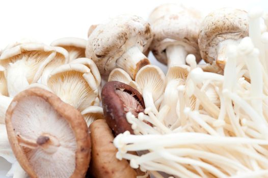 Assortment of fresh edible enoki, shitake, oyster and agaric mushrooms ready to be used in a savoury gourmet meal and in vegetarian cuisine