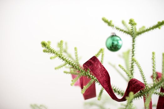 Traditional Christmas tree decoration of a red ribbon twirled through the natural pine branches over a white background with copy space