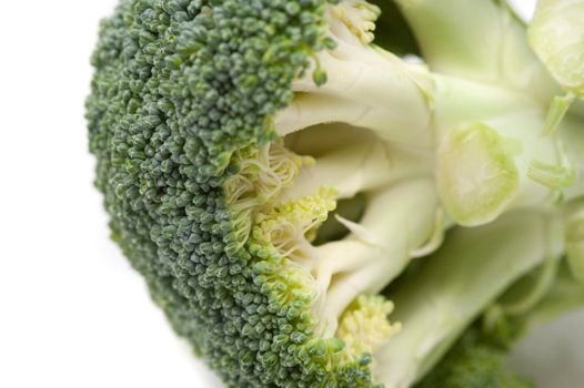 Fresh head of broccoli viewed from the underside showing the florets and edible stalk isolated on white