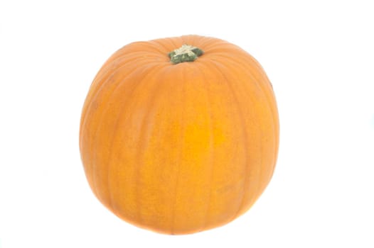 Whole fresh pumpkin, an autumn squash of the cucurbita family, isolated on white