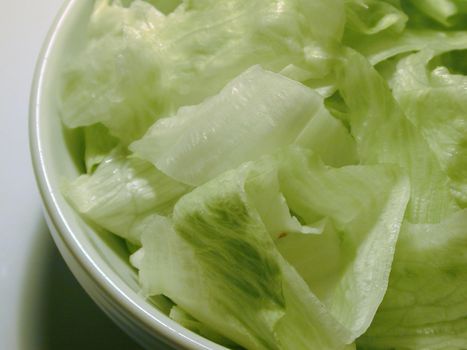 Bowl of fresh leafy green lettuce for use as a salad ingredient in a healthy meal