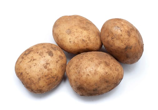 Fresh uncleaned potatoes with soil on the skin as harvested in a vegetable garden or on a farm, group of four on a white background