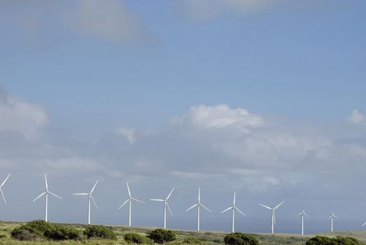 a line of wind power generators