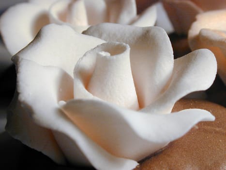Ornamental white icing sugar rose for decorating cakes at a bakery or home baking, close up side view