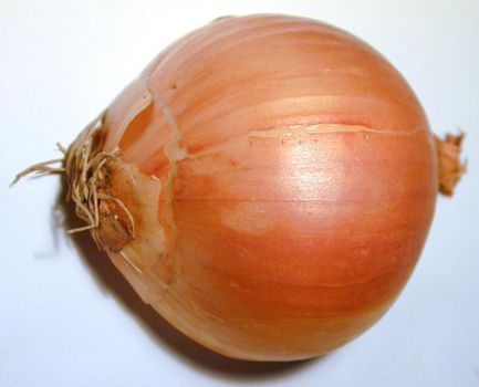 Whole fresh brown onion used as a cooking and salad ingredient for its pungent flavor, close up view