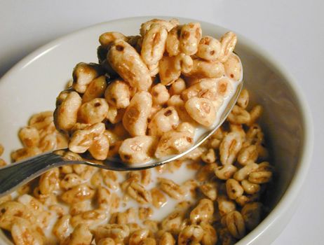 Eating a puffed wheat commercial breakfast cereal in milk with a mouthful raised on a spoon above the bowl