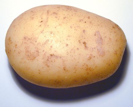 Single whole farm fresh raw potato, a rich source of nutrients and carbohydrate, close up overhead view on white