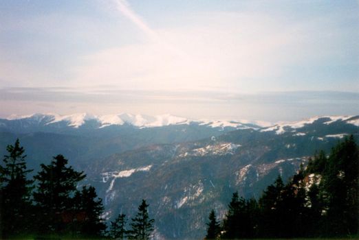 Bright sun flare over snowy mountains covered in evergreen forest plantations in a panoramic landscape