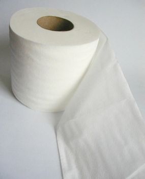 a roll of white toilet paper