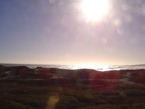 sunny scene on the california coast