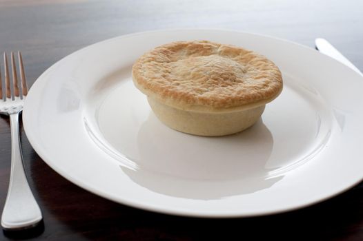 Freshly baked pie on a plain white plate with a closed pastry crust and no accompaniments
