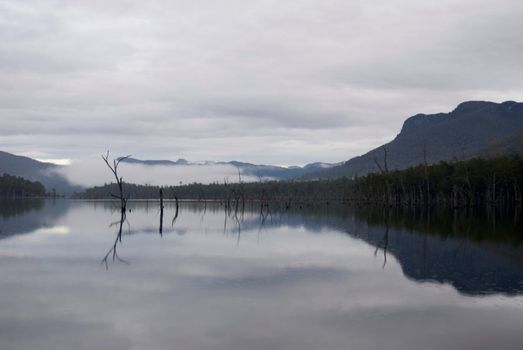 reflected landscape in the surface of lake rowallan, tasmania state forest
