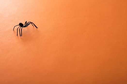 Orange Halloween background with a creepy scary black spider in the top right corner and plenty of copy space for your holiday message