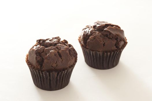 Tasty pair of freshly baked double chocolate muffins on white table with bright light coming from behind them