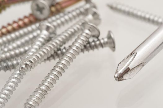 Scattered pile of threaded metal screws with a Philips screwdriver in a conceptual image of DIY and renovation