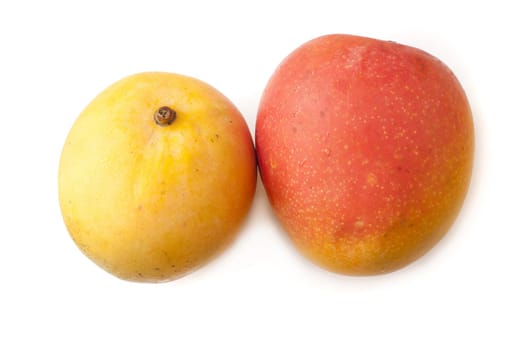 Two whole fresh ripe tropical mangoes for a delicious sweet dessert or snack on a white background
