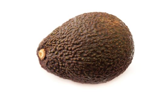 Ripe whole fresh avocado pear with a rough textured purple skin, a popular tropical salad ingredient, on a white background
