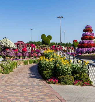 Dubai, UAE - 03.06.2020 Flower and landscaping installations in Dubai miracle garden.