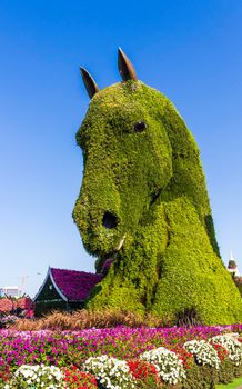 Dubai, UAE - 03.06.2020 Flower and landscaping installations in Dubai miracle garden