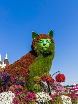 Dubai, UAE - 03.06.2020 Flower and landscaping installations in Dubai miracle garden.
