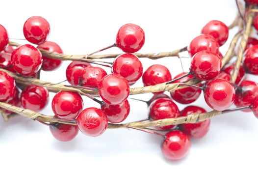 Isolated spray of festive red Christmas berries in a close up view on white for an elegant simple card or invitation