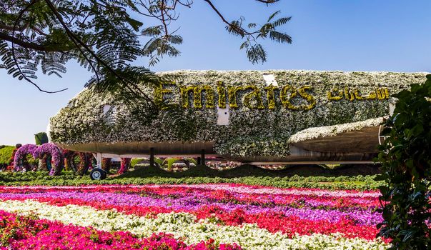Dubai, UAE - 03.06.2020 Flower and landscaping installations in Dubai miracle garden.