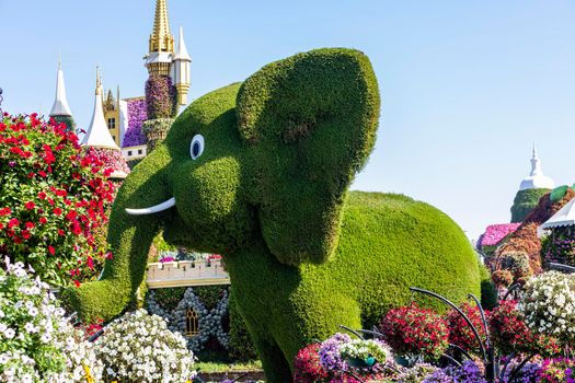 Dubai, UAE - 03.06.2020 Flower and landscaping installations in Dubai miracle garden.