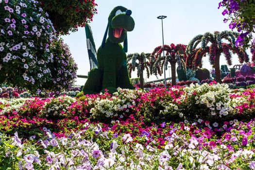 Dubai, UAE - 03.06.2020 Flower and landscaping installations in Dubai miracle garden.