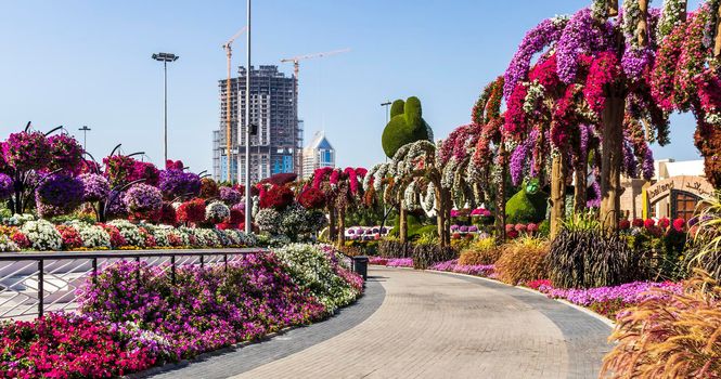 Dubai, UAE - 03.06.2020 Flower and landscaping installations in Dubai miracle garden.