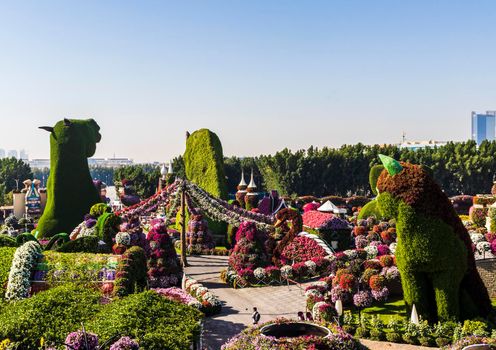 Dubai, UAE - 03.06.2020 Flower and landscaping installations in Dubai miracle garden.